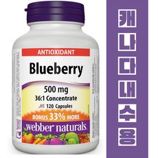 Webber Naturals 블루베리 농축 영양제 Blueberry Capsule 500mg 120정, 1개