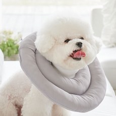 반려생각 UFO 반려동물 넥카라, 혼합색상, 1개