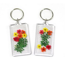 [상아사이언스] 생화로꾸미는압화열쇠고리만들기, 본상품