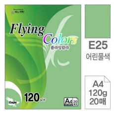 삼원)플라잉칼라(E25.어린풀색/A4/120g/20매) doi+0693gX
