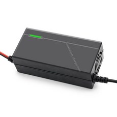 29.4V 2A 고속 배터리 충전기 7 플러그 포함