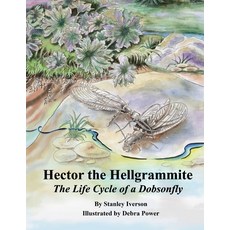(英文圖書)Hector the Hellgrammite: The Life Cycle of a Dobsonfly 平裝版, Independently Published, 英文