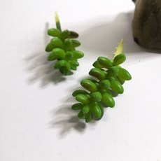 仿真植物, P83仿真多肉+木頭底座(隨機), 1套