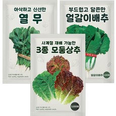 농우바이오 엇갈이배추 열무 3종혼합상추 채소씨앗 3종, 1세트