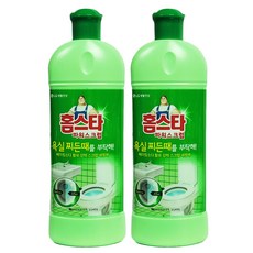 홈스타 파워스크럽 욕실용, 550ml, 2개