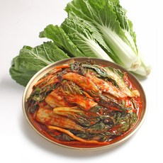 세종대왕김치 전라도식 국내산 얼갈이김치 당일제조, 1개, 2kg