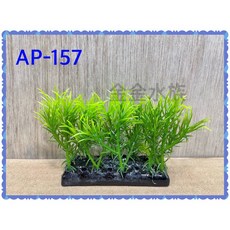 百樂門 仿真水草 水族擺飾 裝飾 擬真水草, 1個, AP-157