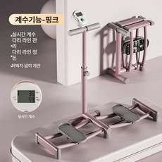 가정용 홈짐 스키 유산소 기구 플래그십 운동기구 전신, 1대 핑크 호화형 카운팅 폴더블