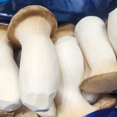 국내산 새송이버섯, 1개, 새송이버섯 2kg (상)