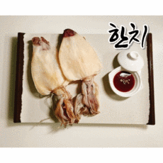 [트렌디 건어물] 한치 10마리 45마리, 10개