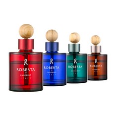 로베르타 디까메리노 차량용 방향제 디퓨져 120ml, 1개, 레드 피오레