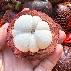 [더리얼파머스] 태국 생 망고스틴 열대과일, 1개, 500g (4-8과내외)