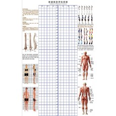 체형 분석 롤스크린 분석표 측정 격자 스크린 분석판