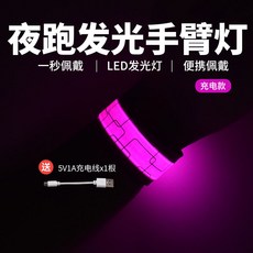 台灣出貨 WRELS騎行跑步手臂燈綁褲腳充電代駕警示燈反光戶外運動夜跑安全 夜跑反光腳環 夜騎反光手環 戶外運動, 充電款-玫紅, 1個