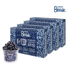 [로버츠베리에] 야생 빌베리 100ml x 6팩, 24개