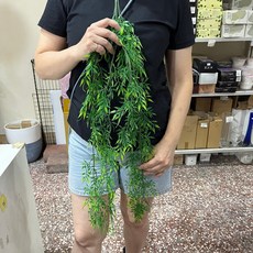 【台灣現貨速發】波斯小尖垂葉仿真人造花垂藤，創意仿真植物垂葉壁掛裝飾，人造垂葉仿真藤條花藤, 1個
