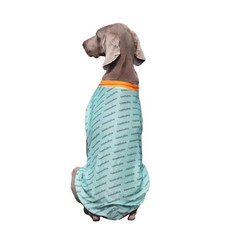 대형견 골든리트리버 제품 도베르만 하늘색 티셔츠 소형견 중형견, 1개, 2. 초록/XXXL