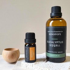 레노포프 천연 에센셜오일 & 블랜딩오일 35종 테라퓨틱등급, 1개, 11.페퍼민트, 100ml