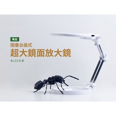 螞蟻帝國 摺疊台座式超大鏡面放大鏡 - 觀察/飼養螞蟻用品, 1個