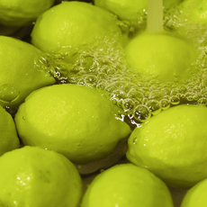 [프리미엄] 국내산 제주 직송 그린레몬 상큼 청레몬, 1박스, 제주레몬 2.5kg