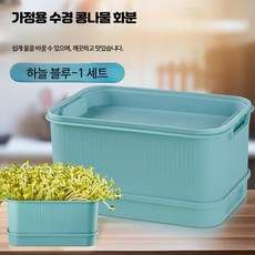 가정용 콩나물 발아기 황두·녹두 발아 용기, 1개, 라이트 블루 새싹 화분 세트