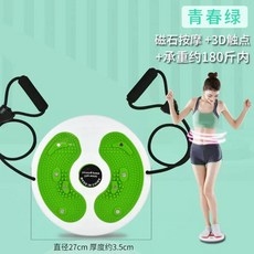 공기주입식 스탭퍼 발지압 유산소 실내 걷기 운동기구, H. 자석 허리 비틀기 디스크 그린 줄 포함