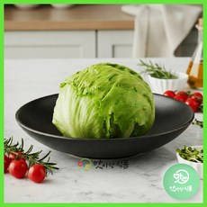 양상추 1통 가락시장 발송, 1개