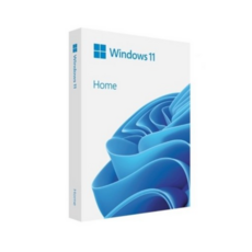 마이크로소프트 Windows 11 Home 처음사용자용 FPP USB, HAJ-00095