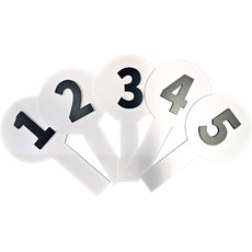 숫자피켓 1 2 3 4 5 6 7 8 9 10 유튜브게임용, 1개, 6mm