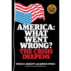 America: What Went Wrong? The Crisis Deepens Paperback, Mission Point Press