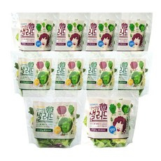 데이밀 자연을담은 샐러드 실속 혼합구성 100g x 10팩 국내산 야채믹스, 1세트, 드레싱없음
