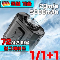 [TV홈쇼핑] 독일 초강력 태풍기 쿨링 허리 선풍기 무선 냉각 선풍기 에어컨 캠핑 공사 등산 야외 현장용 베이리인스, 1개, 블랙