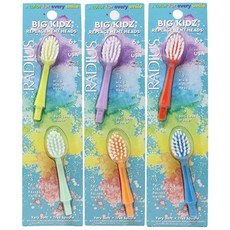 래디어스 RADIUS Big Kidz Forever Brush 교체 가능한 헤드 만 6세 이상 아동용 BPA 프리 ADA 승인 치아 및 잇몸 성장에 적합 헤드 2개 -