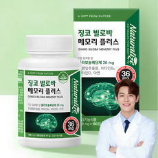 뇌 기억력개선 은행잎 징코빌로바 영양제 플라보놀배당체 아연 효능 기억력 혈행건강 징코 비타민D 아연, 1박스, 180정