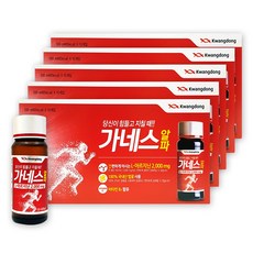 광동 가네스알파 50병 L-아르기닌 2000mg, 1L, 5박스