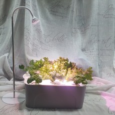 스마트팜 수경 식물 채소 재배기 가정용 싹 틔운 후 상추 키우기 방울 토마토 바질 키트, 기본풀세트, 1개