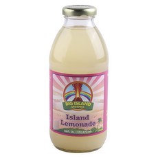 빅아일랜드오가닉스 아일랜드 레모네이드 무지방 글루텐 프리 비건, 473ml, 1개