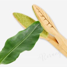 로랑마켓 관엽식물 클리너 극락조 관리 청소, 1