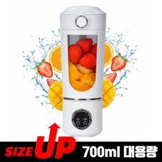 [700ml 대용량] 무선 블렌더 휴대용 믹서기 텀블러 믹서기 포터블 블렌더, 화이트, SS