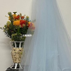 無品牌 網紗布料柔軟純色攝影拍照ins頭紗透明薄紗特密蕾絲紗仙女紗面料, 淺水藍,多拍不剪斷-需要剪斷聯繫客服, 1個