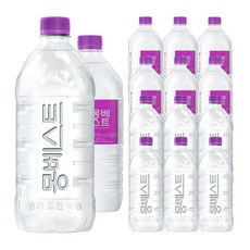 몽베스트 생수, 1L, 36개