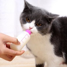 ML8 강아지 고양이 젖병 투약 새끼강아지젖병, 150ml