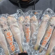 [제니네 제철과일] HR 산지발송 제주 통옥돔 PK7, 6미