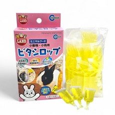 비타시럽 소동물 비타민 햄스터 기니피그 친칠라 토끼 영양제, 5ml, 5개