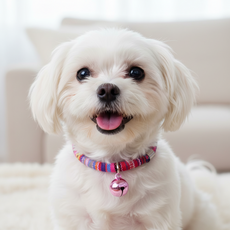 하니펫 반려동물 예쁜 보헤미안 방울 목걸이, 1개, 핑크