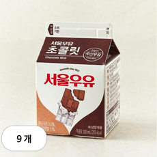 서울우유 초콜릿 우유, 300ml, 9개