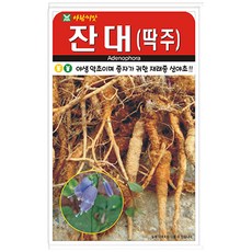 아람 잔대 씨앗 1000립, 2개