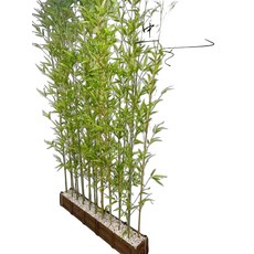 인조 대나무 실내 조경 장식 거실 매장 개업 선물, 50cm 2.5m 8개