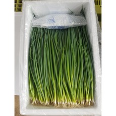 아이스박스포장 포천 하우스 실파 잔파 깐쪽파 흙쪽파, 1kg, 1박스