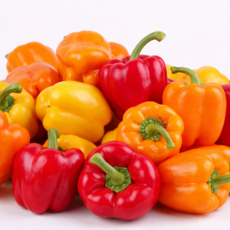 농장직송 신선한 국내산 파프리카 노랑 빨강 혼합, 1박스, 파프리카 1kg